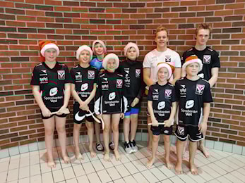 Julelauget 2019